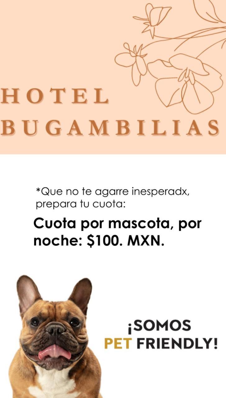 Hotel Bugambilias Oaxaca Zewnętrze zdjęcie